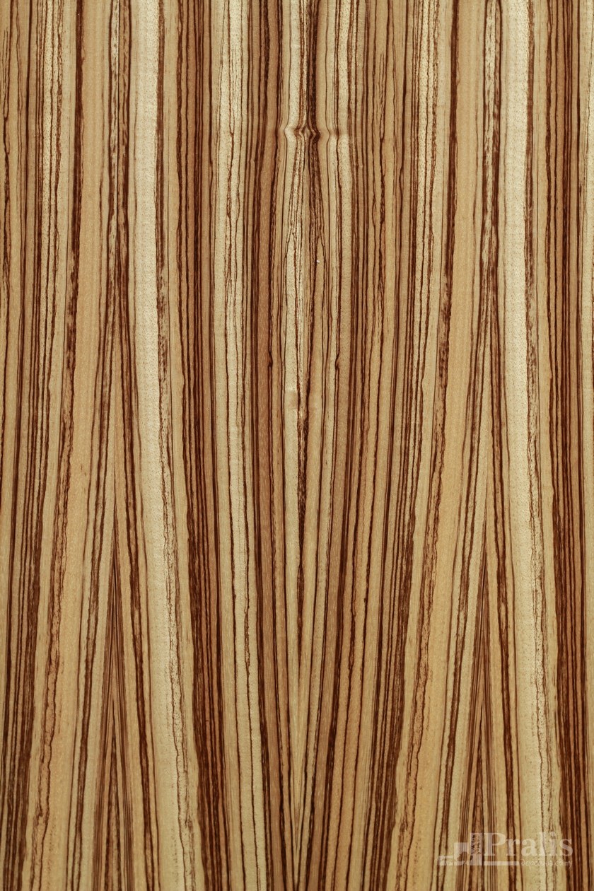 Эггер Макассар н3025