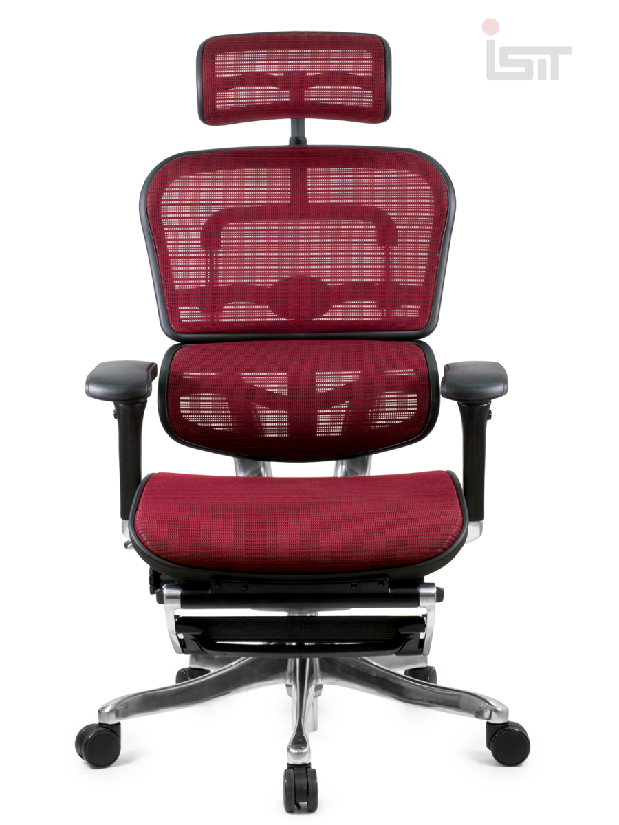 Кресло Ergohuman Plus Legrest