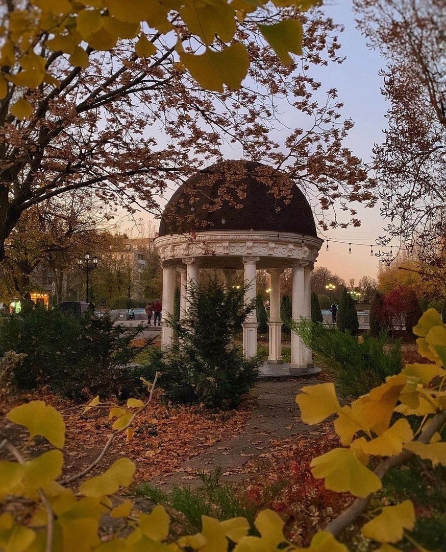 Аллея роз Ростов на Дону