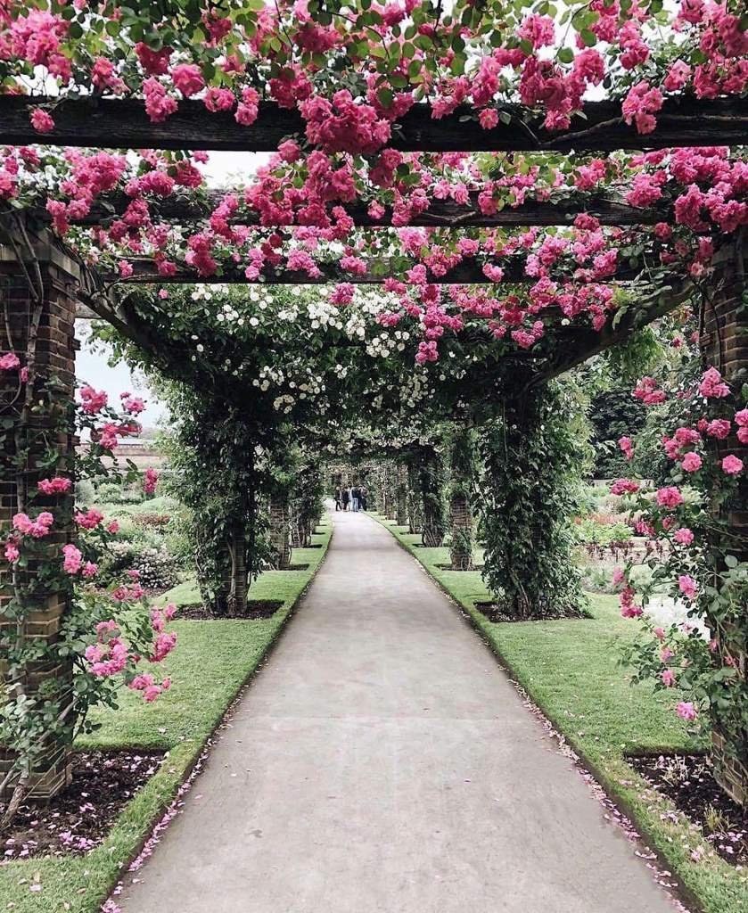 Потсдам аллея роз