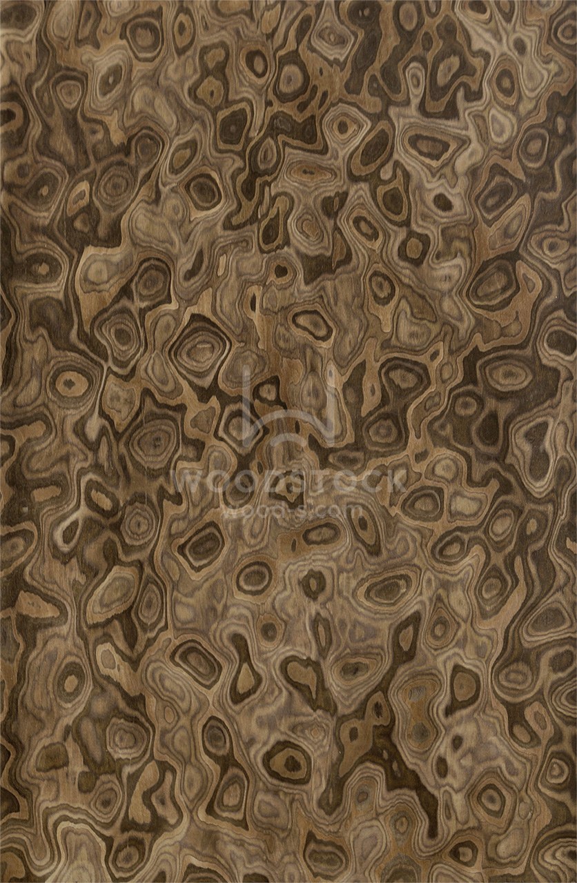 Шпон Файн лайн Вудсток