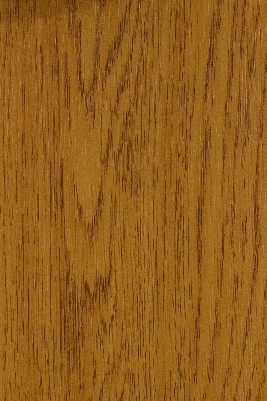 Дуб золотистый