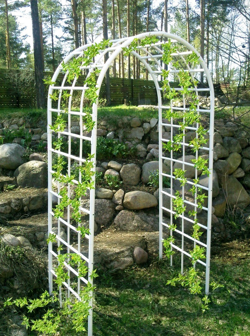 Садовая арка для клематисов