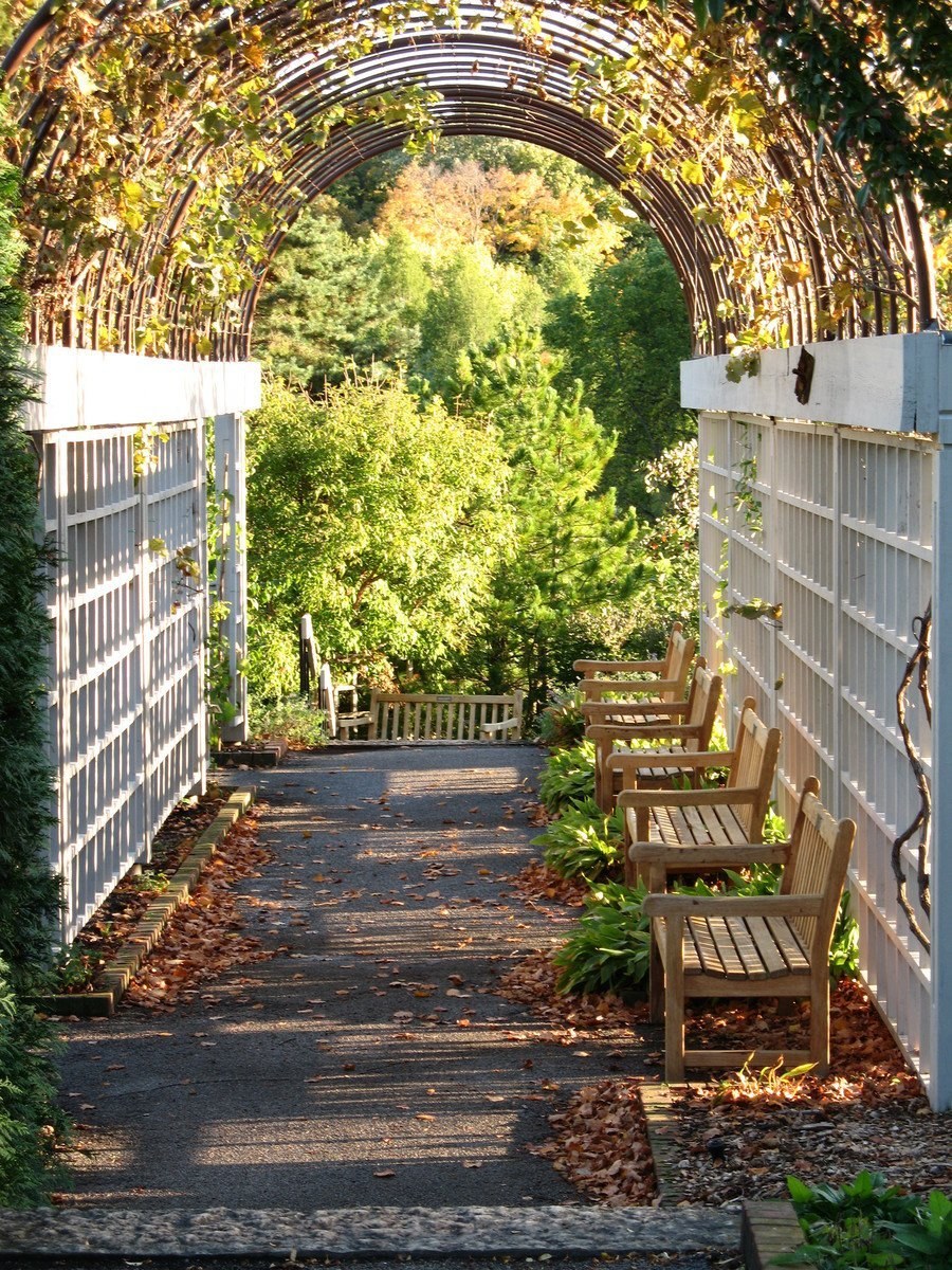 Пергола Парковая тоннель