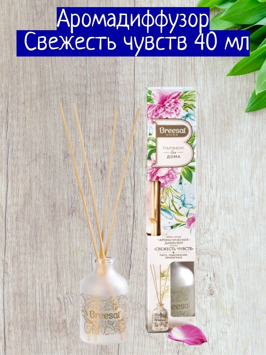 Диффузор с ротанговыми палочками (52 фото)