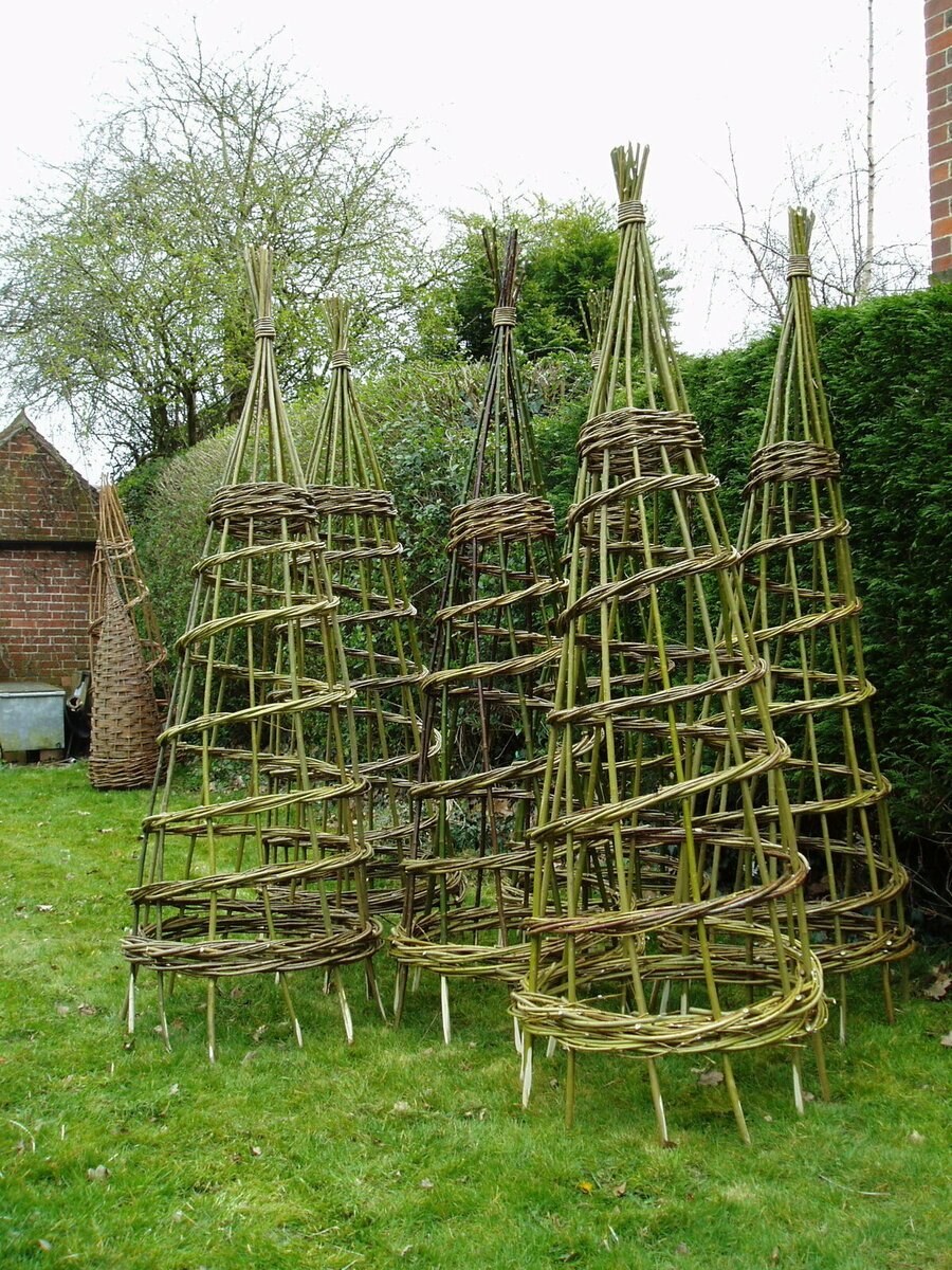 Шпалера из ивовых прутьев