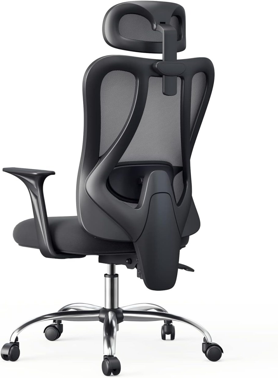 Xiaomi Hbada Ergonomic Double-Waisted Waist Computer Chair hdny163bm