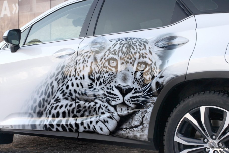 Винилография на авто