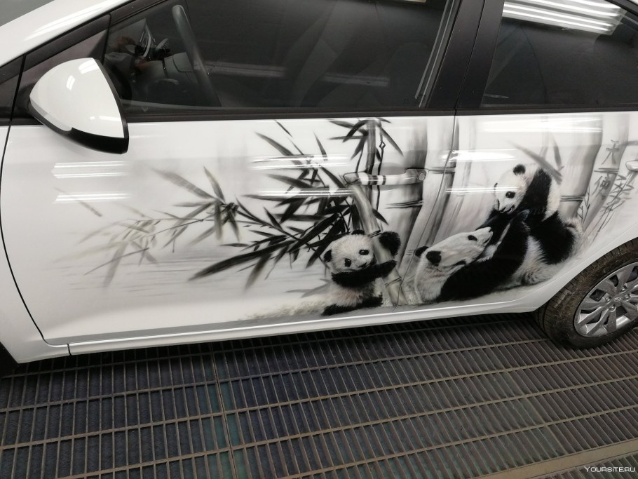 SSANGYONG Actyon винилография