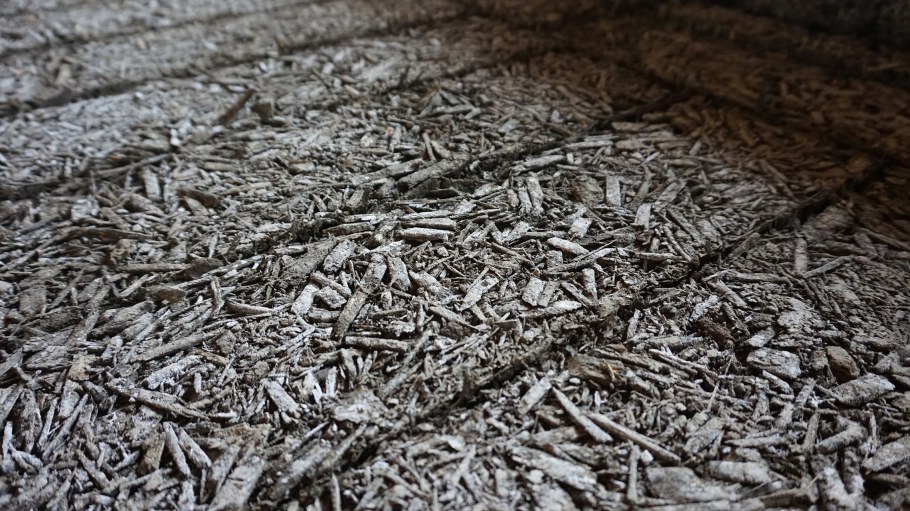 Арболит плесень