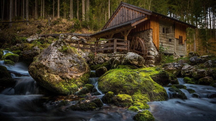 Отель ручьи удачи Белокуриха