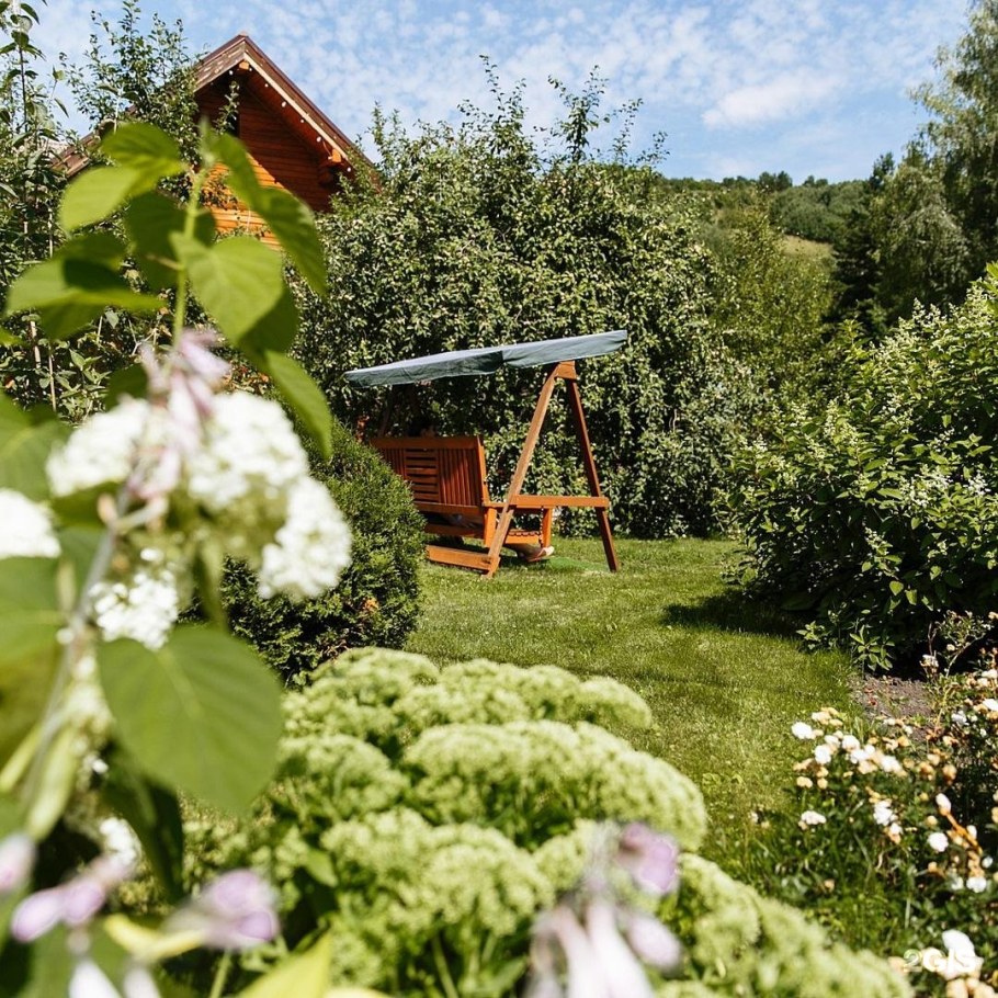 Ручьи у дачи Алтай