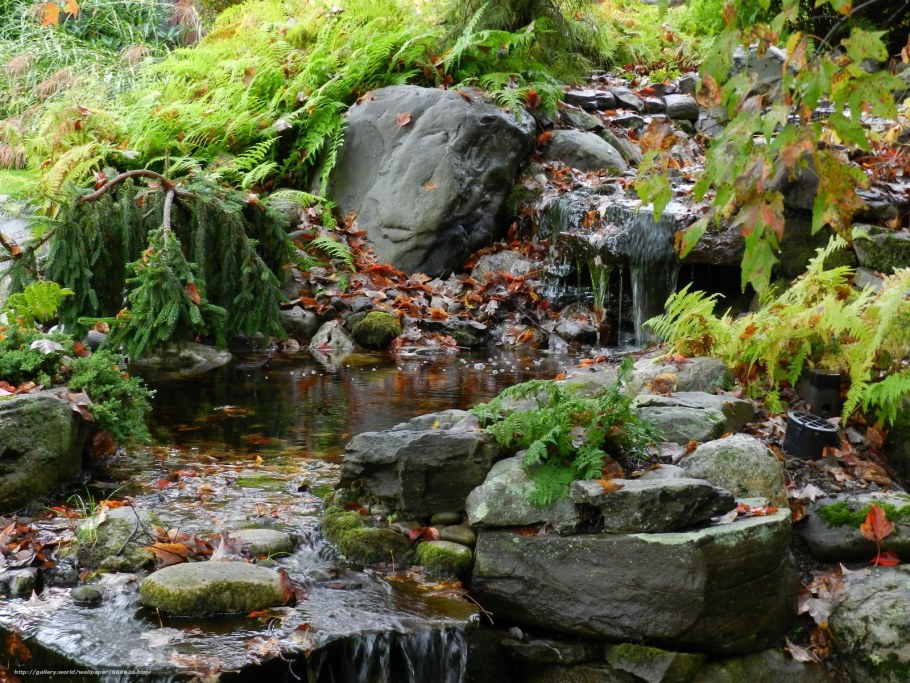 Ручьи удачи Белокуриха официальный номер Делюкс плюс