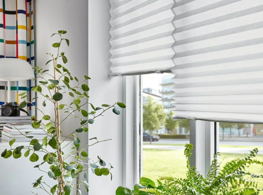 Жалюзи ШОТТИС икеа