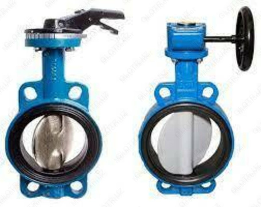 Затвор дисковый поворотный ду600