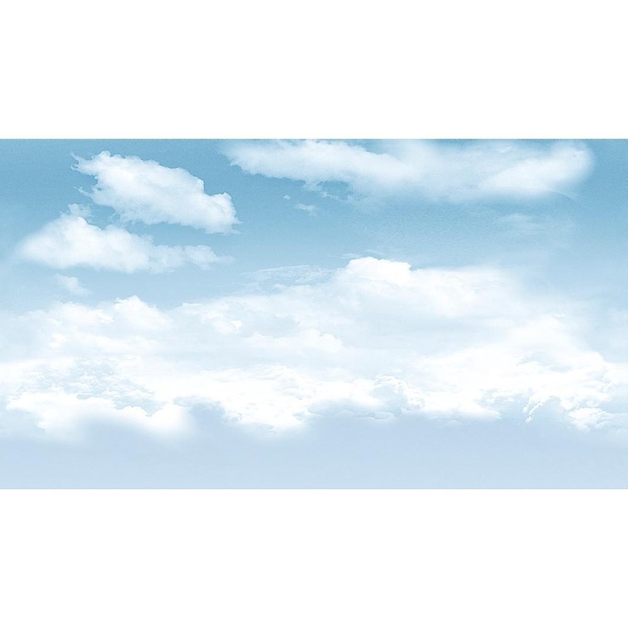 Декор Ceradim Flora 25x45