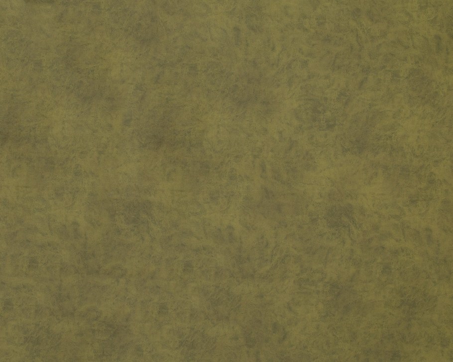 Goya велюр Арбен