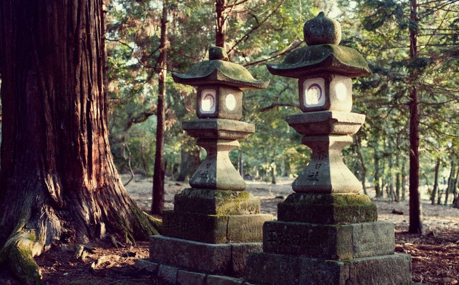 Япония Касуга Торо