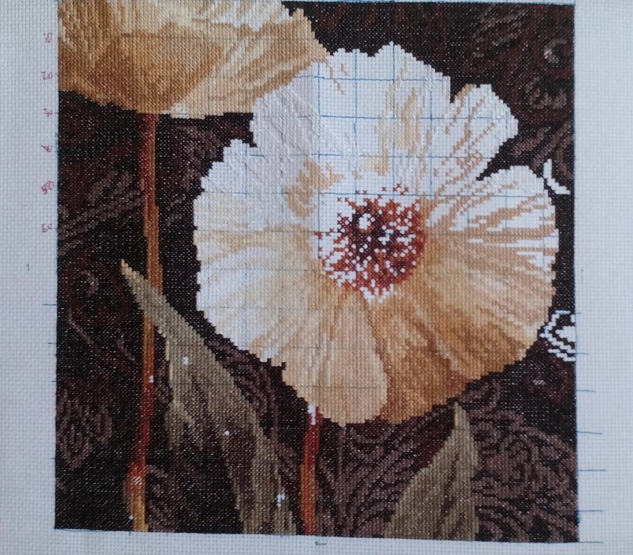 Алиса белые цветы