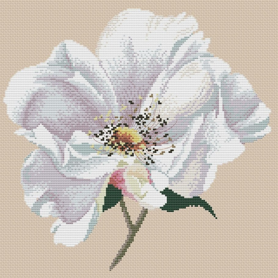 Вышивка DMC deco Wild Rose bk003