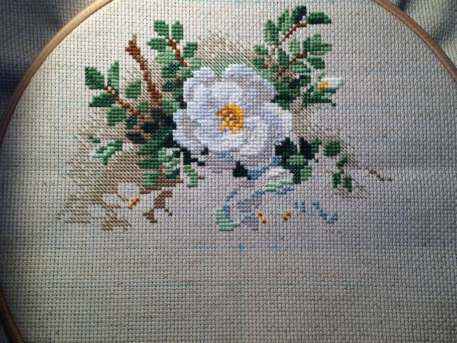 Риолис белый шиповник