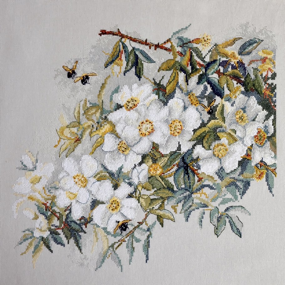 Марья Искусница арт 06.002.58 настурция