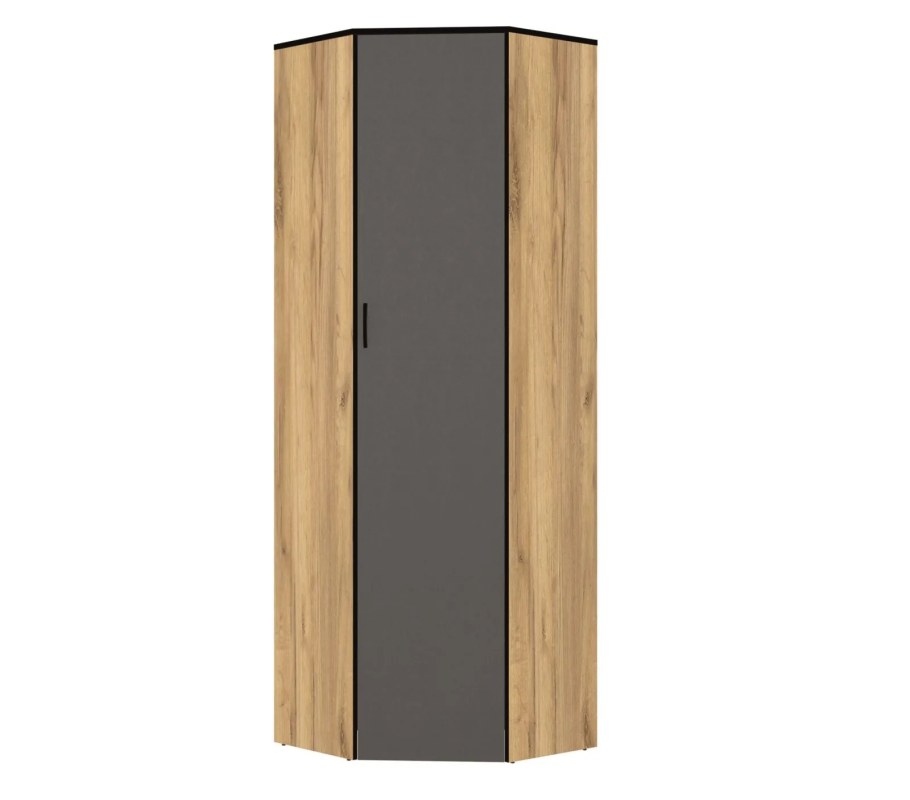 Шкаф угловой Ольга лофт 9.1