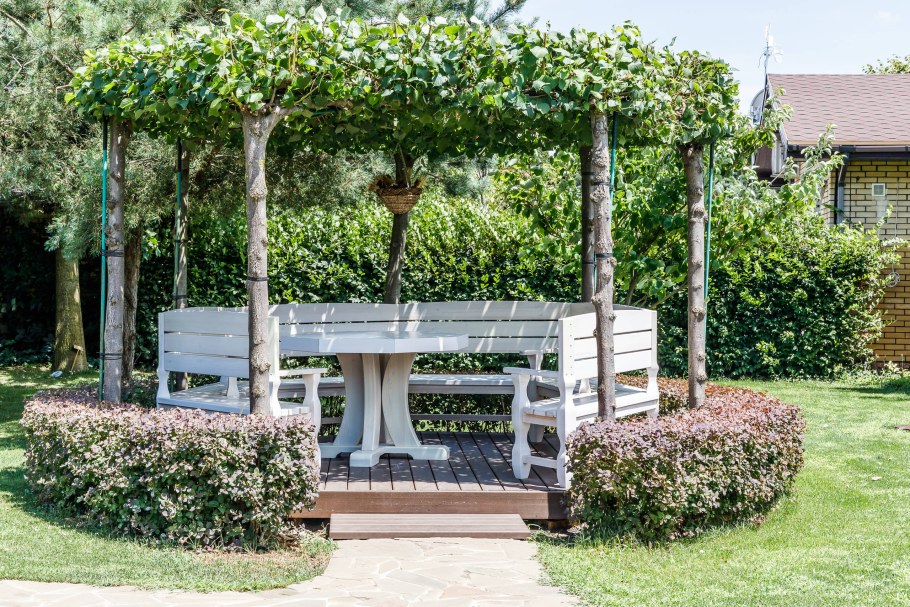 Пергола Конфедерации Жасмин