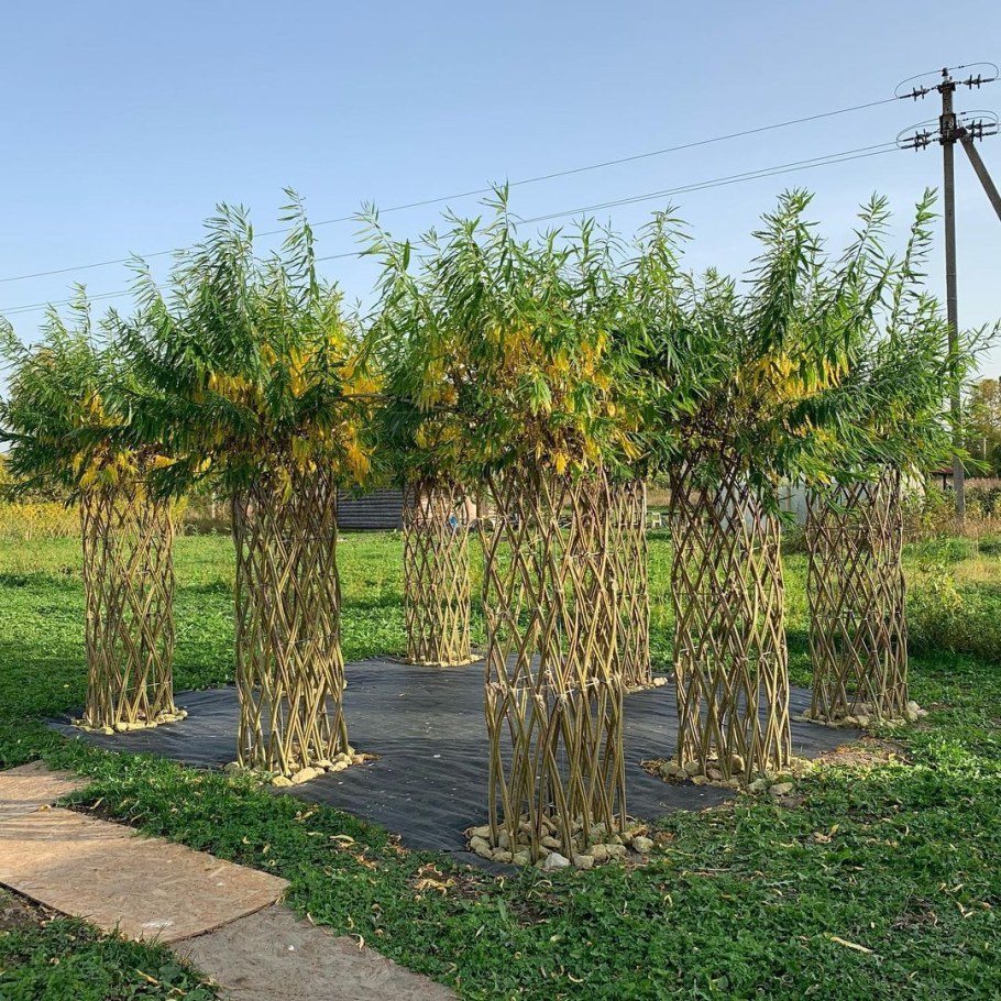 Русская Ива Живая беседка