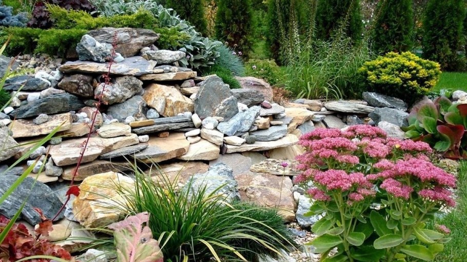 Рокарий Каменистый сад