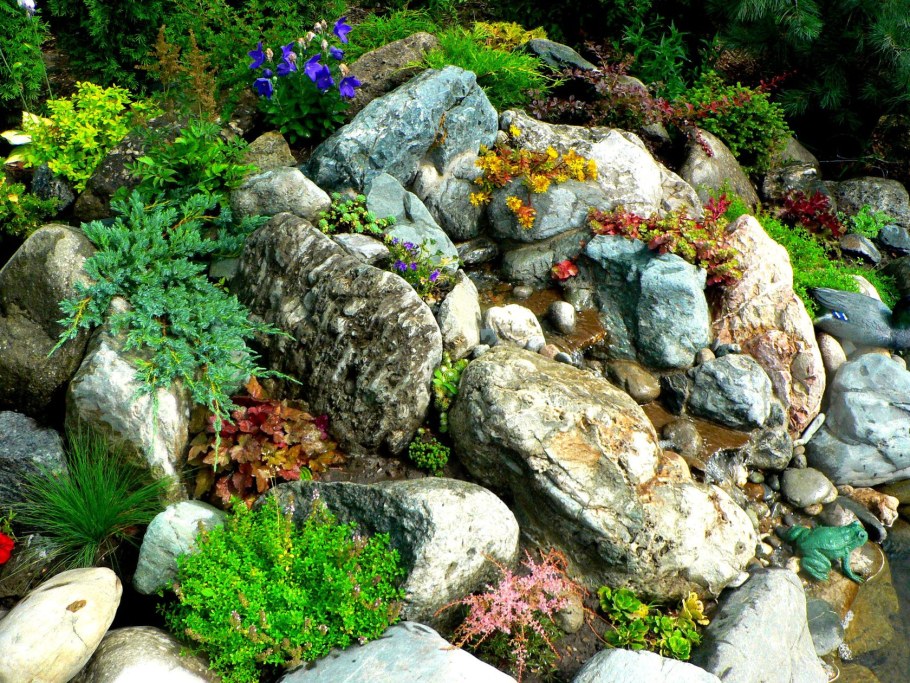 Рокарий горный ручей