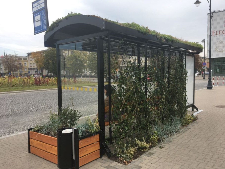 Озеленение остановок