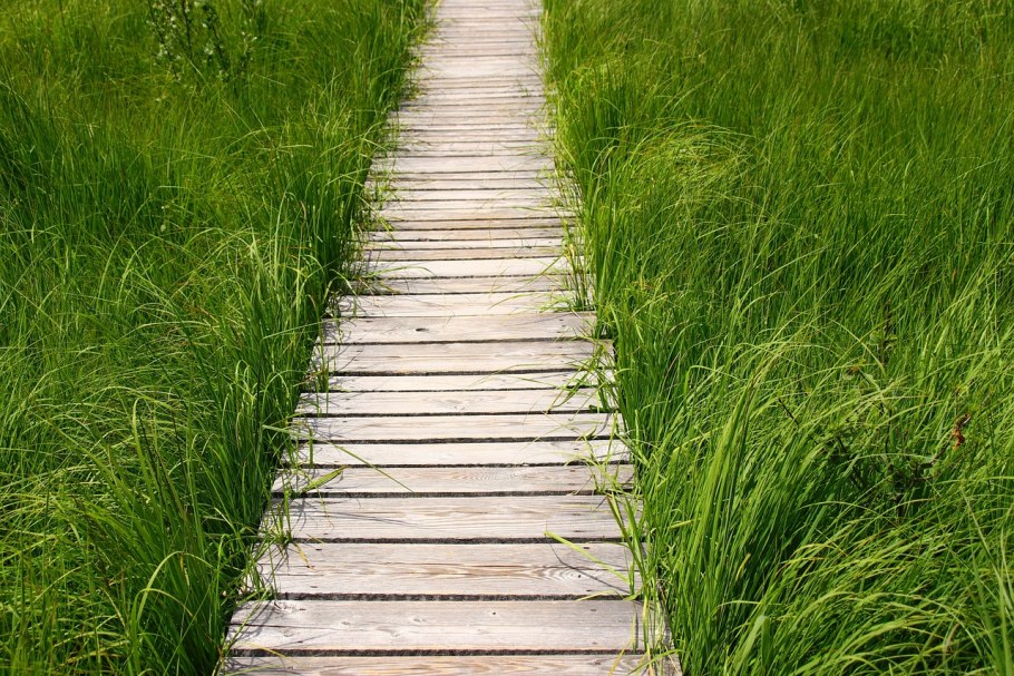 Деревянные дорожки