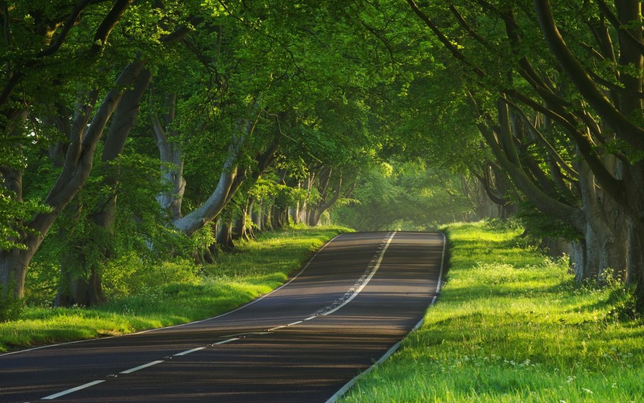 Парк дорога