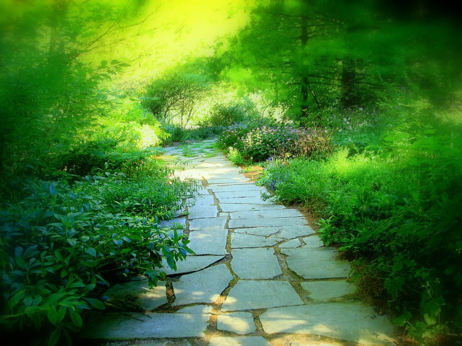 Зеленая тропа