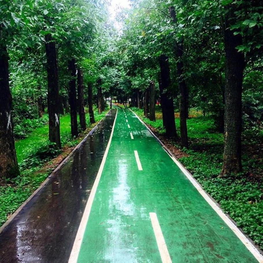 Химки дорожки в парке