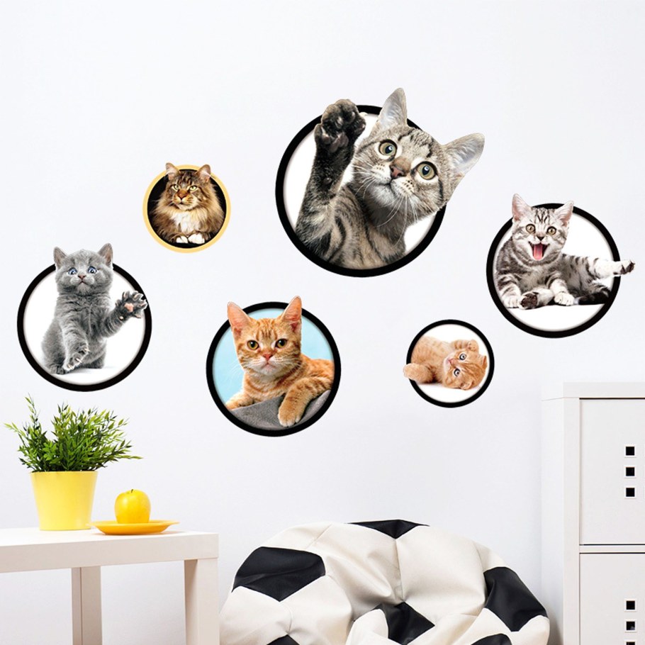 Котики на стене