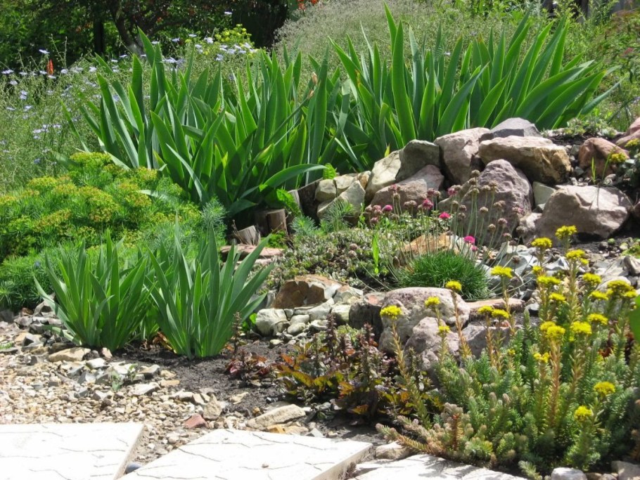 Схема высадки альпийской горки