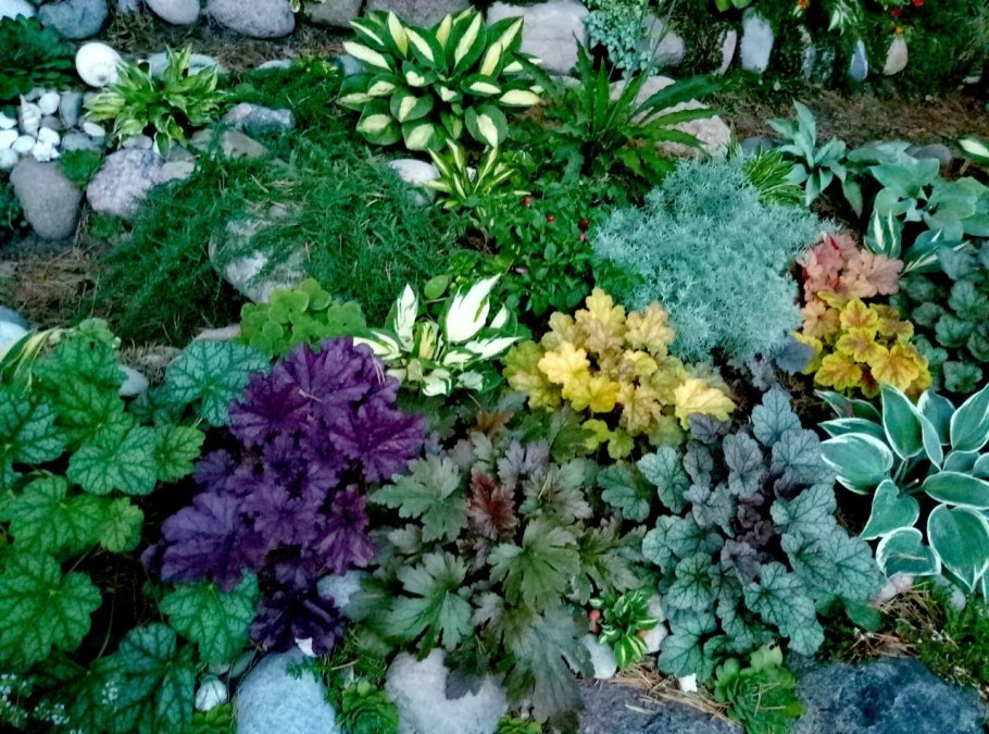 Альпинарий Альпийская горка