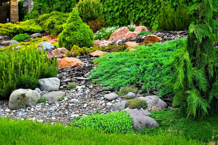 Алиссум на альпийской Горке