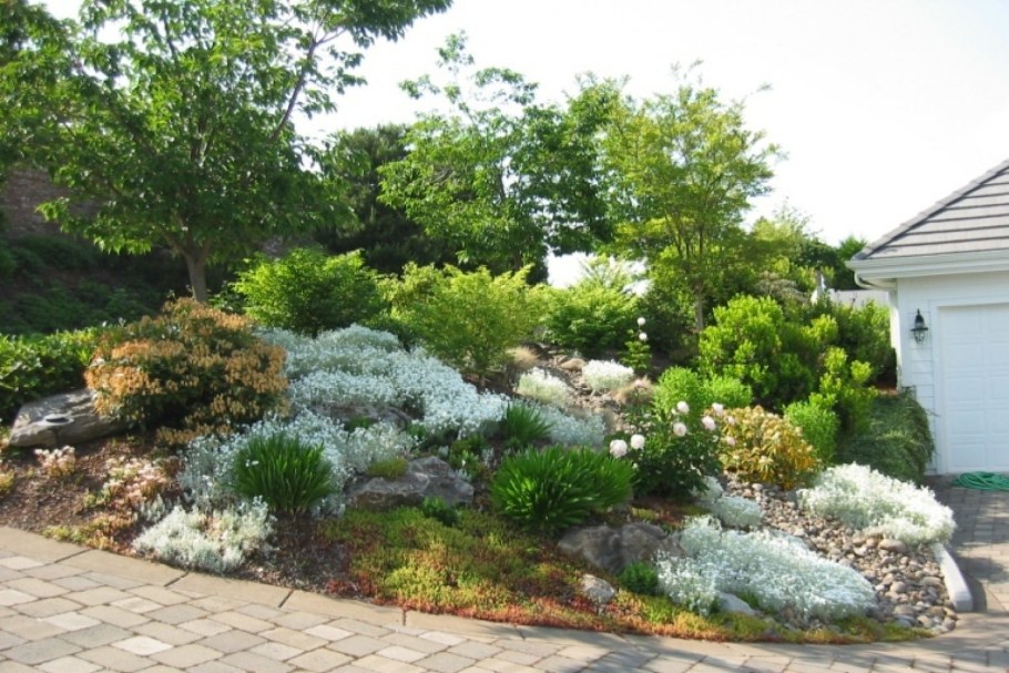 Пряный альпинарий