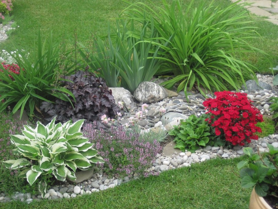 Почвопокровные на альпийской Горке