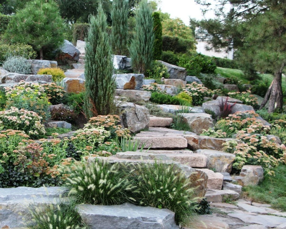 Альпийские горки с папоротником