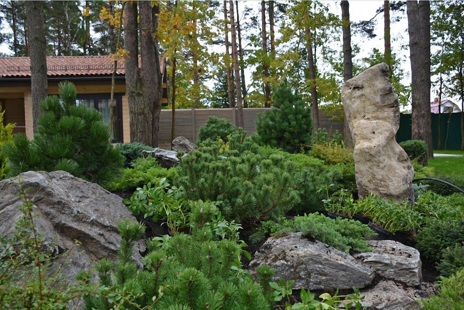 Альпийская горка Хоста можжевельник