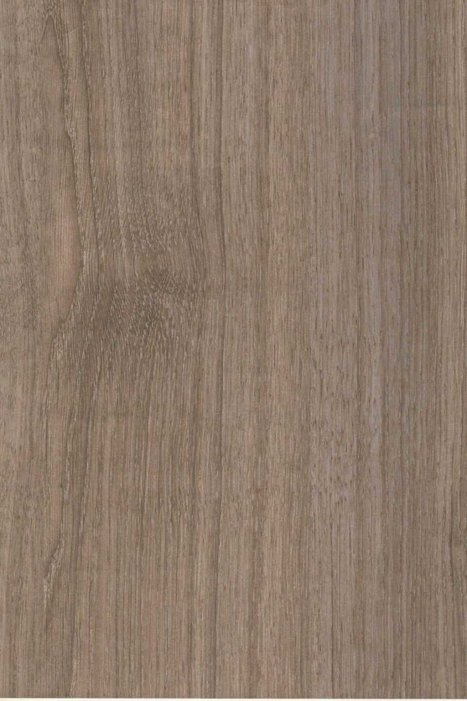 Дуб молочный и дуб сонома