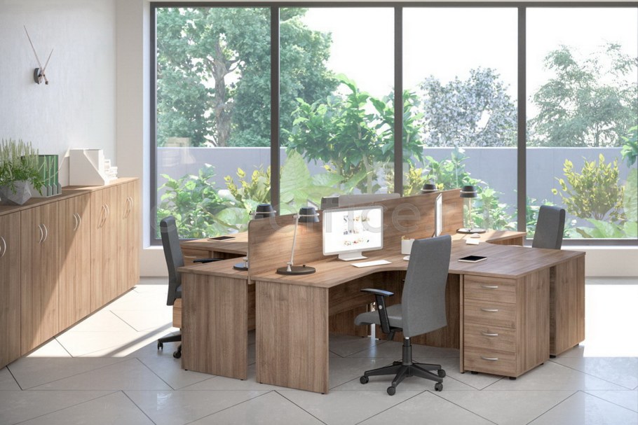 Дуб Шамони туя