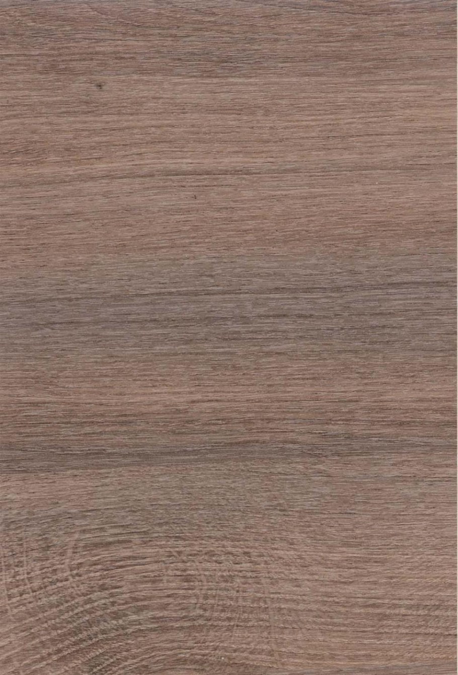 Вяз благородный