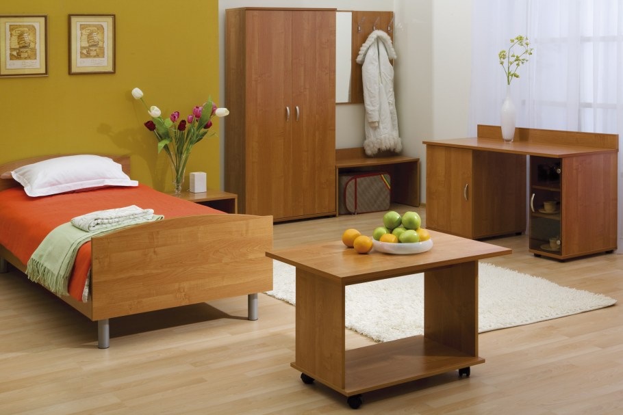 Комплект мебели "компаньон"