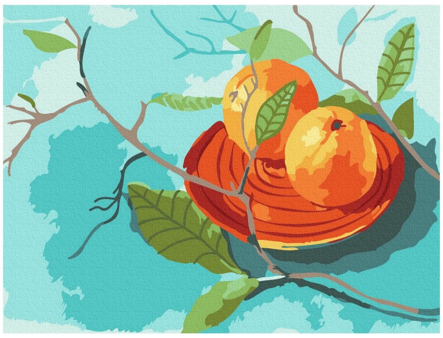 Картина по номерам апельсин