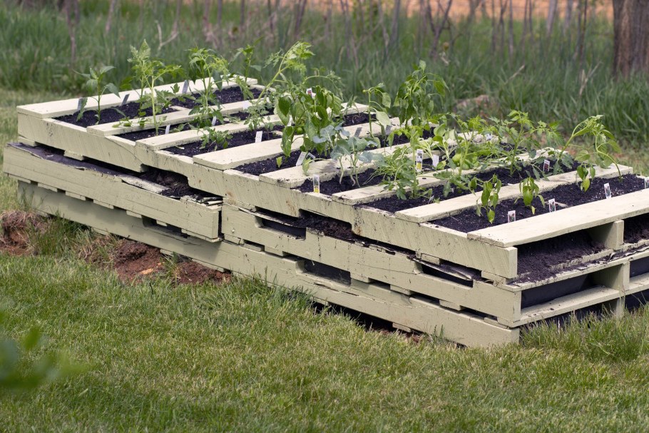 Грядка пирамида для клубники